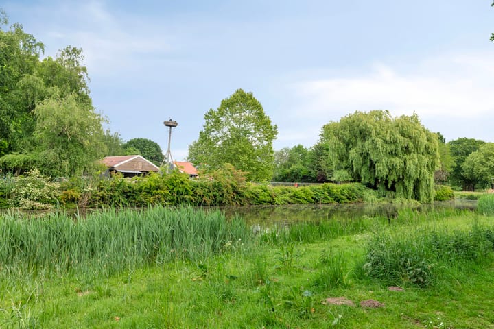 Foto 33 van Wuustwezelstraat 1