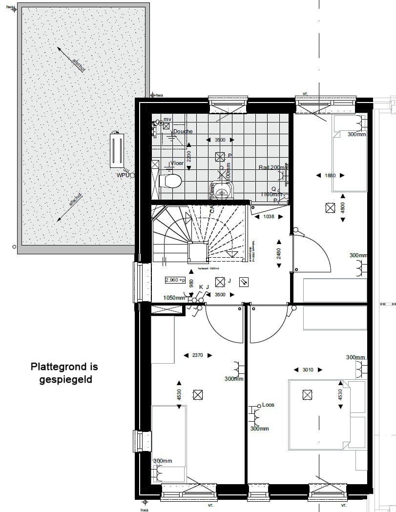 Foto 6 van Sterdahlia 6