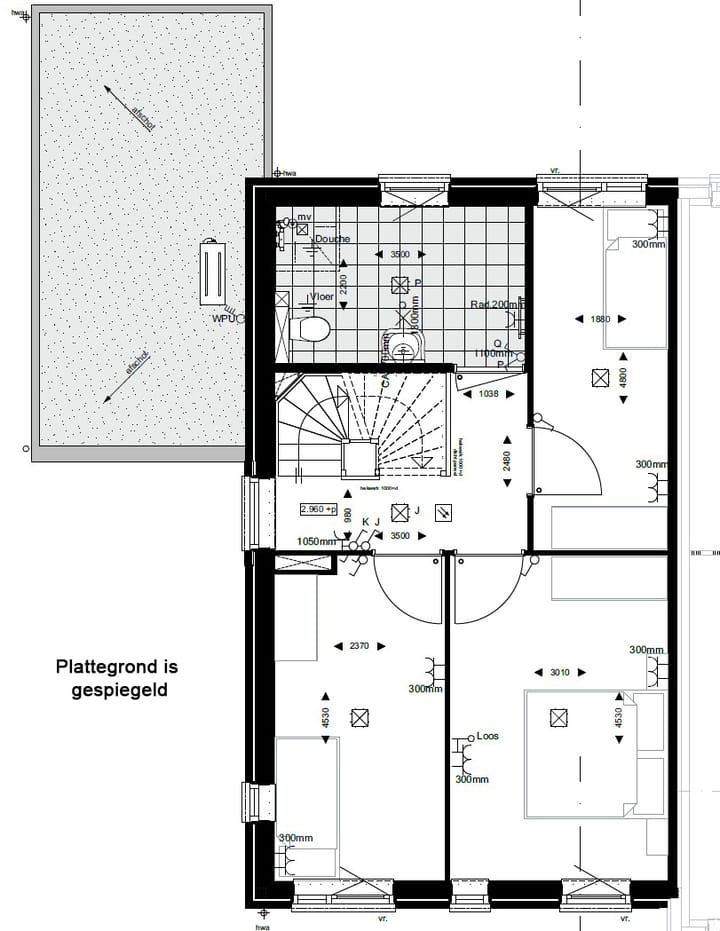 Foto 6 van Sterdahlia 6