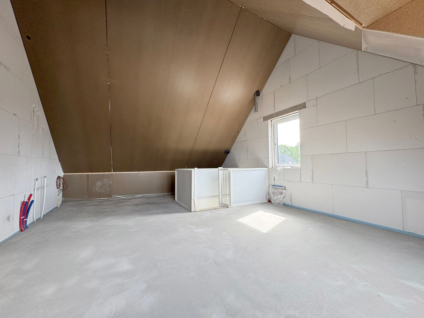 Foto 14 van Sterdahlia 6