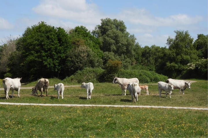 Photo 34 of Pieter van der Meulenhof 13