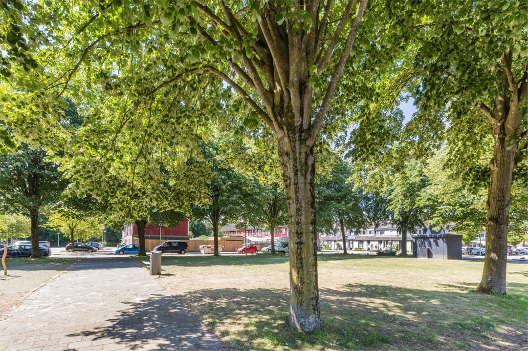 Foto 32 van Pieter van der Meulenhof 13