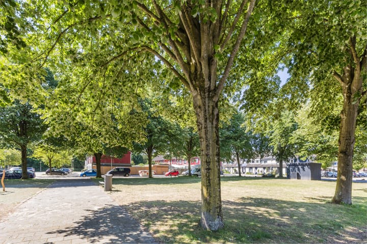 Photo 32 of Pieter van der Meulenhof 13