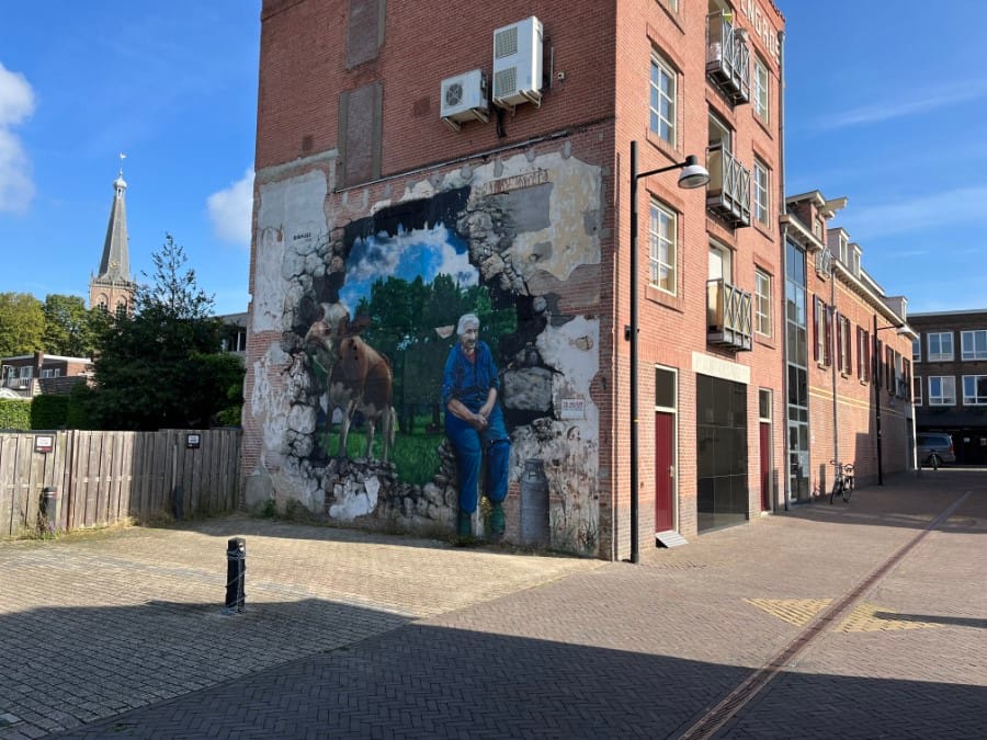 Bekijk foto 5 van Boliestraat 38