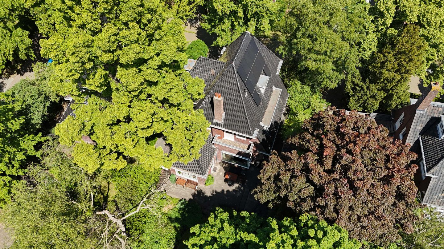 Foto 49 van Lindenlaan 1