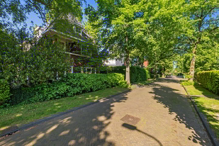 Foto 55 van Lindenlaan 1