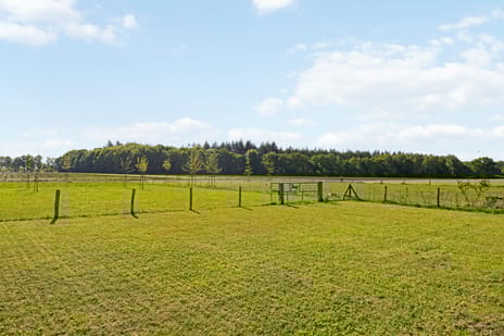 Steunenbergerweg 18 tertiary image