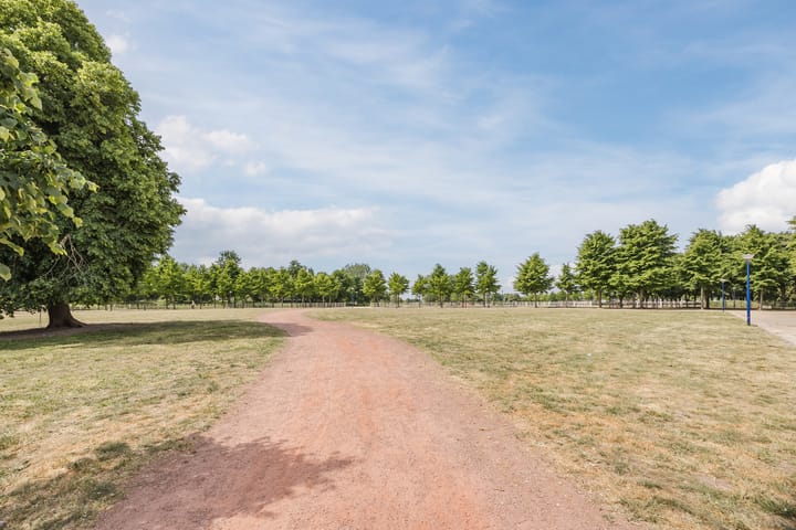 Foto 50 van Zuidsingel 22