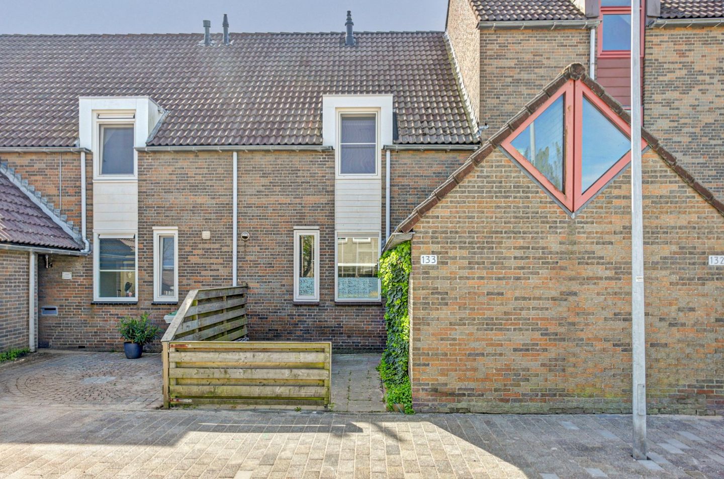 Foto 1 van Paardebloem 133