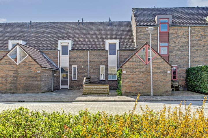 Foto 5 van Paardebloem 133