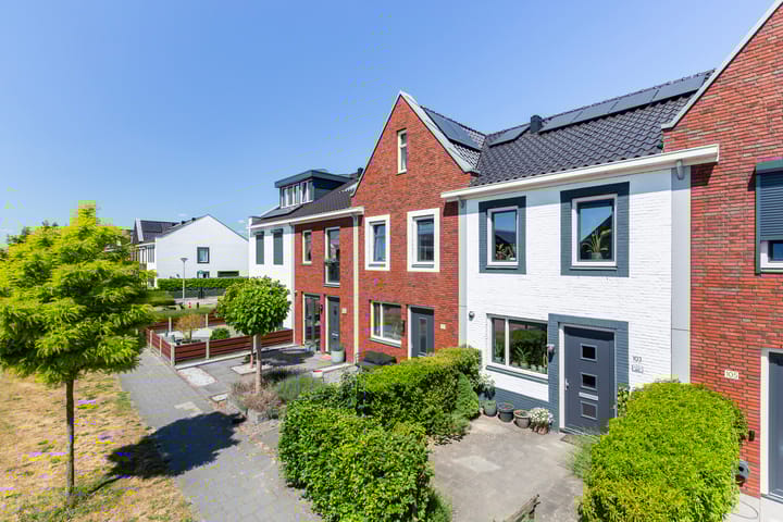 undefined main image