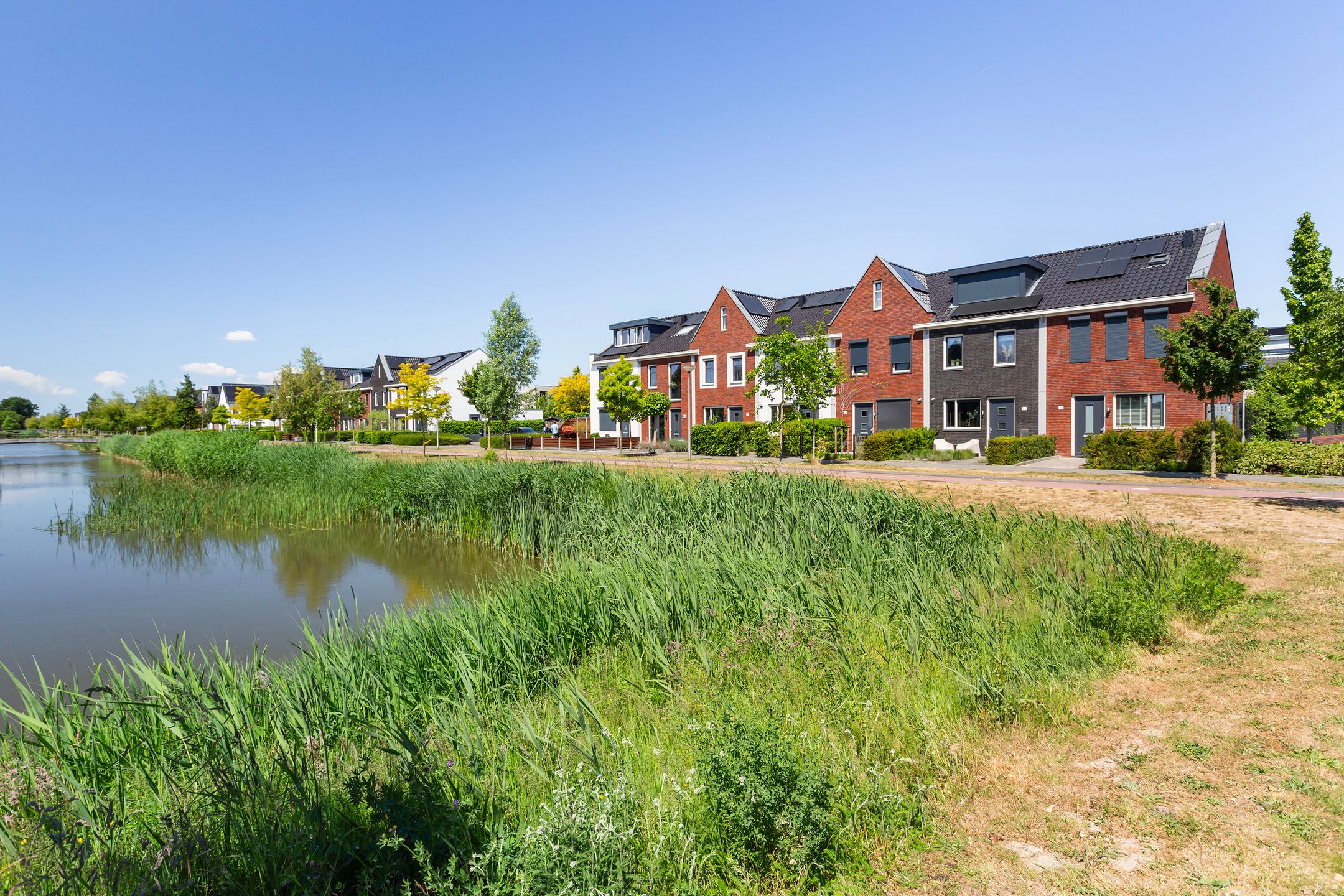 Photo 3 of Houtblazerspad 103