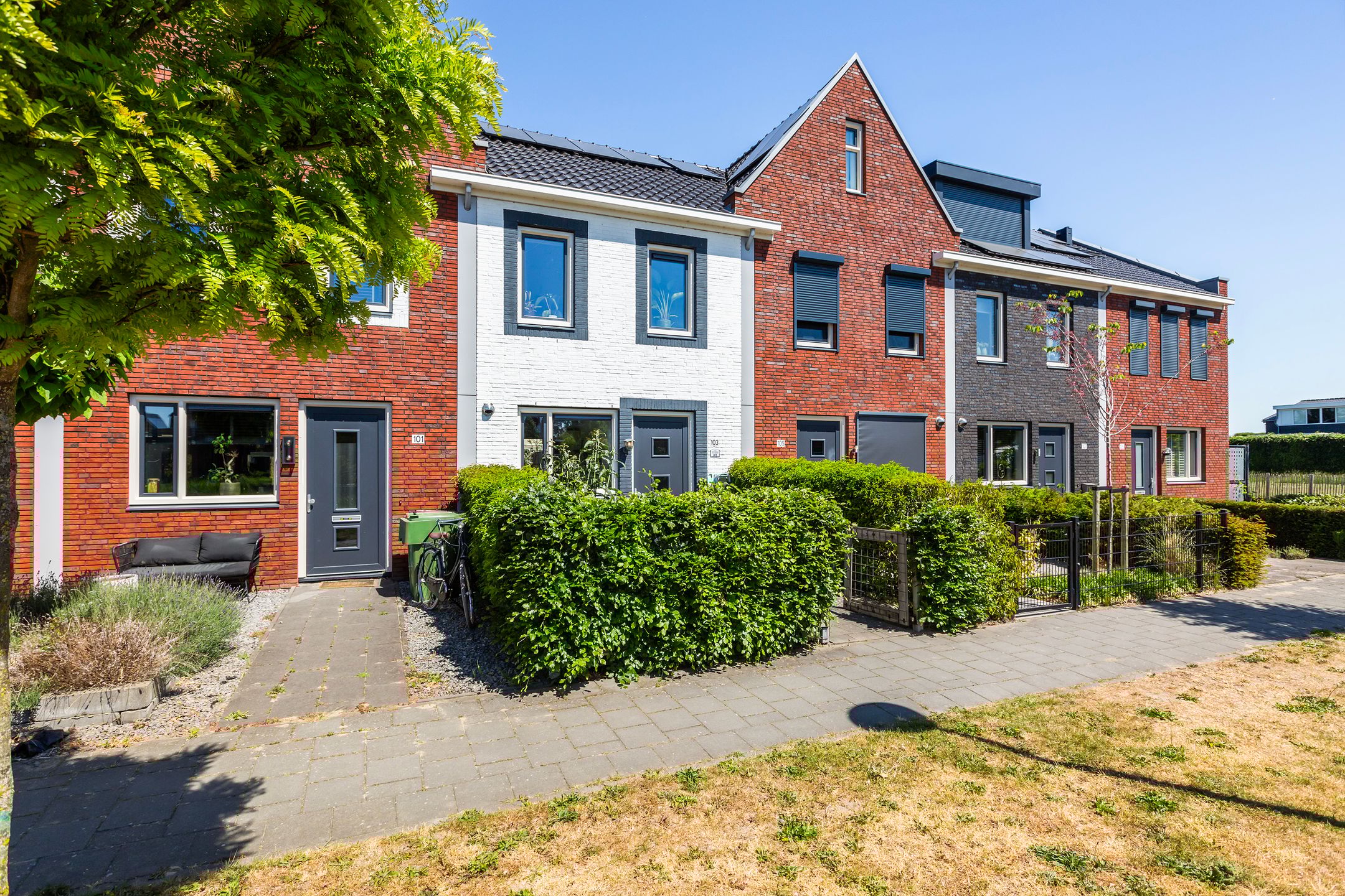 Photo 6 of Houtblazerspad 103