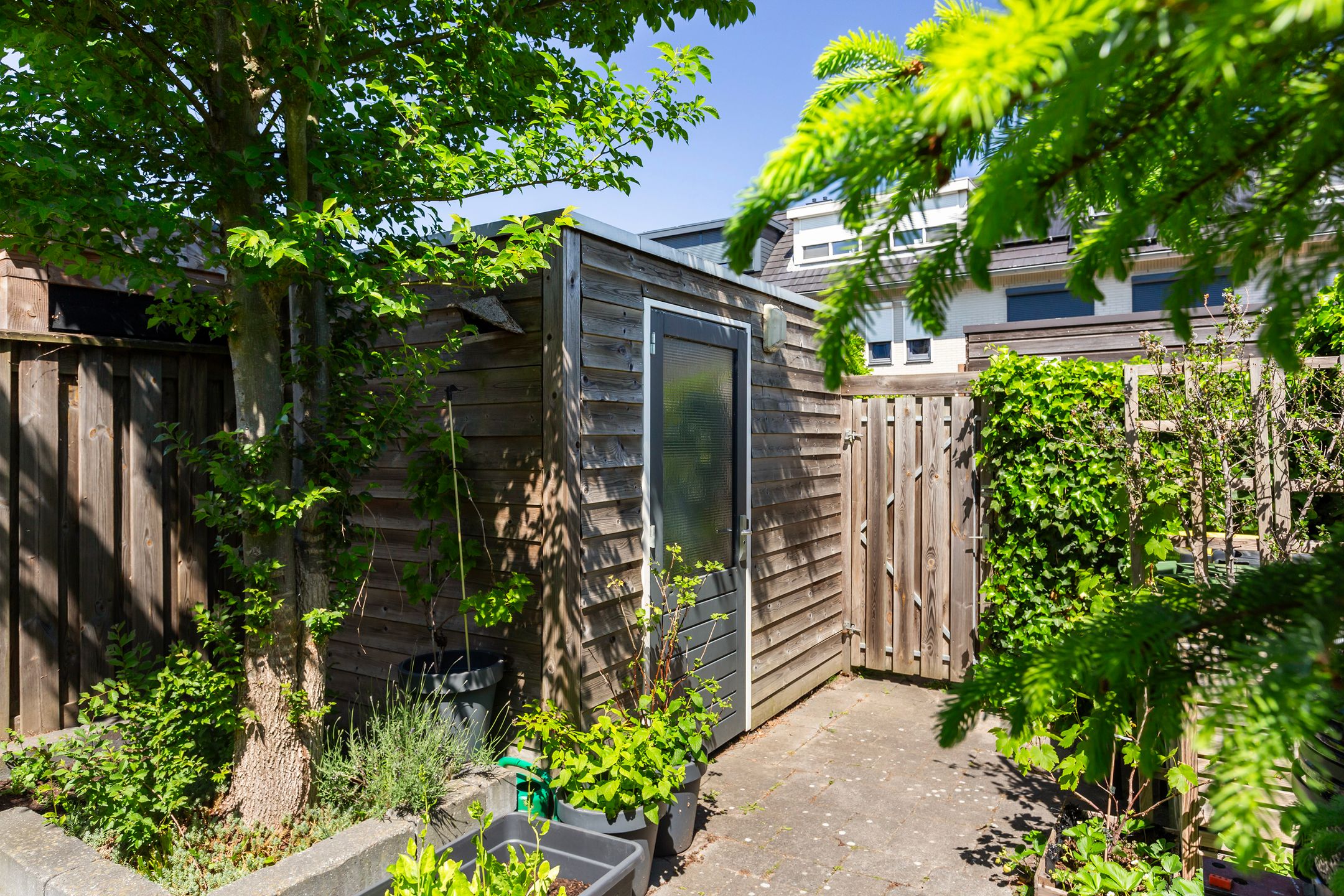 Photo 15 of Houtblazerspad 103