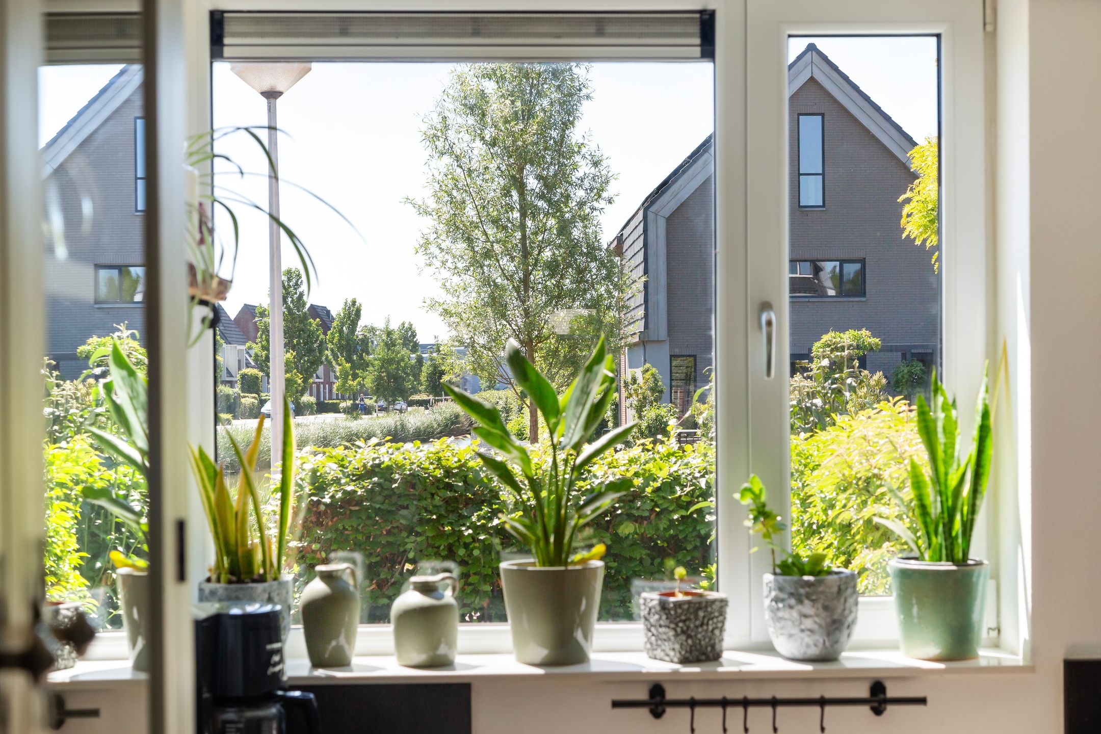 Photo 27 of Houtblazerspad 103