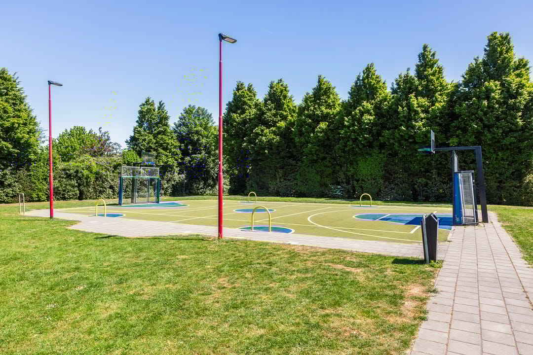 Photo 41 of Houtblazerspad 103