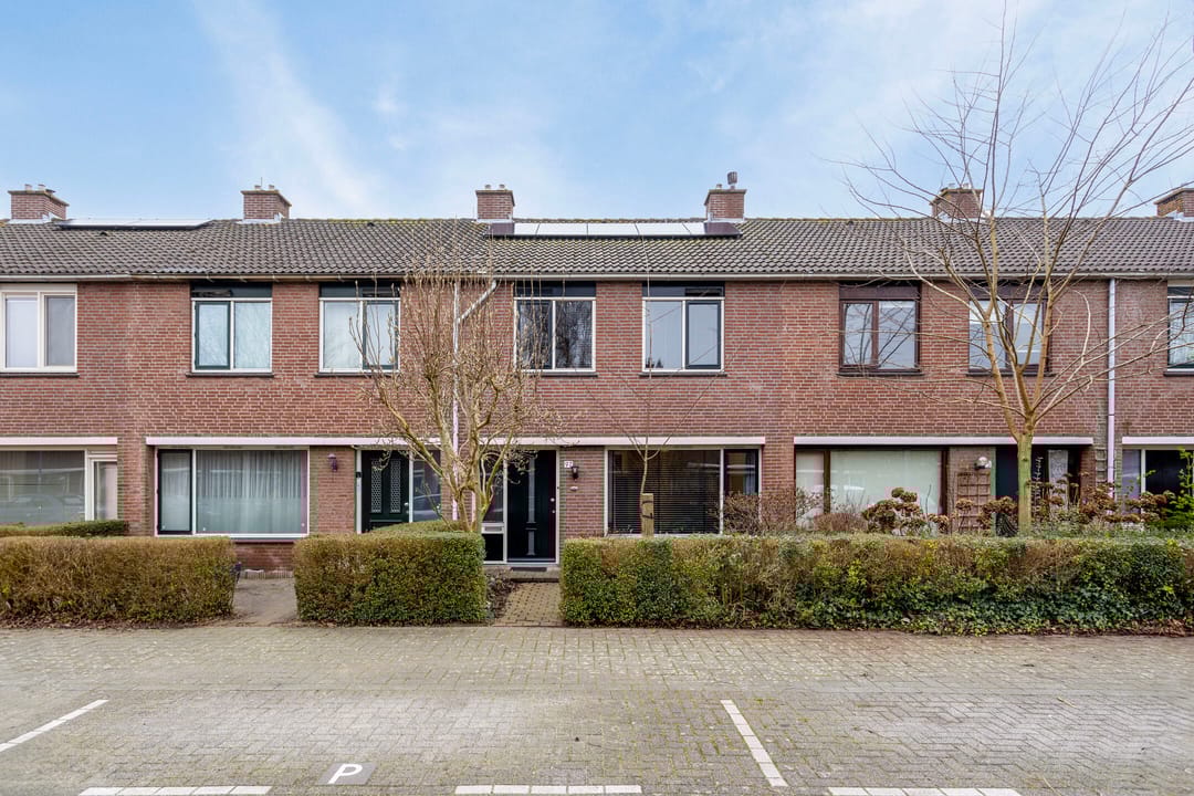 Foto 11 van Balsemkruid 97