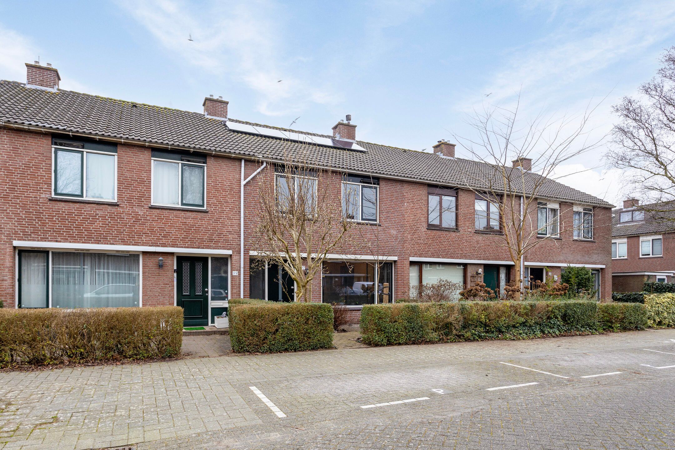 Foto 12 van Balsemkruid 97