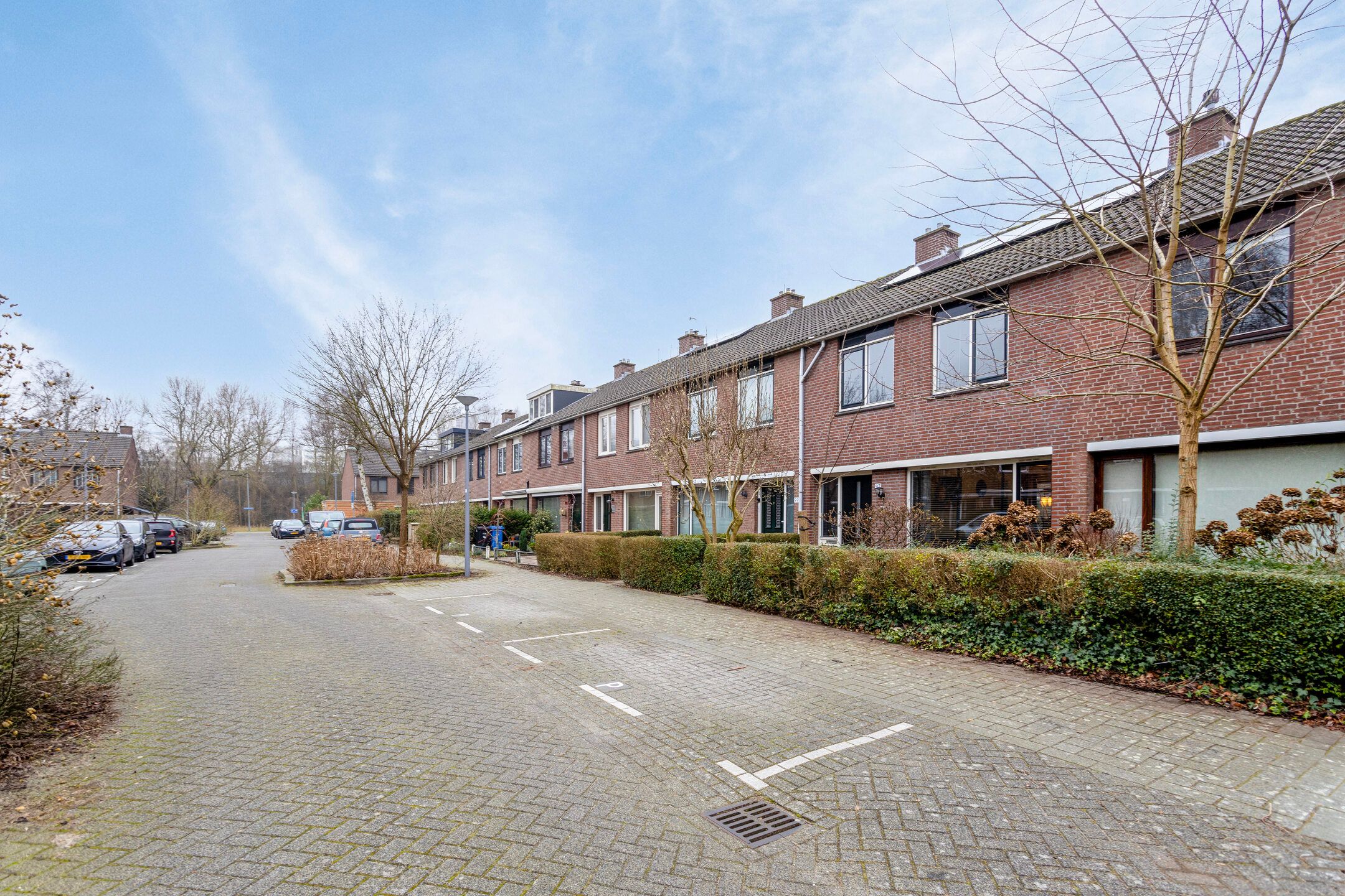 Foto 15 van Balsemkruid 97