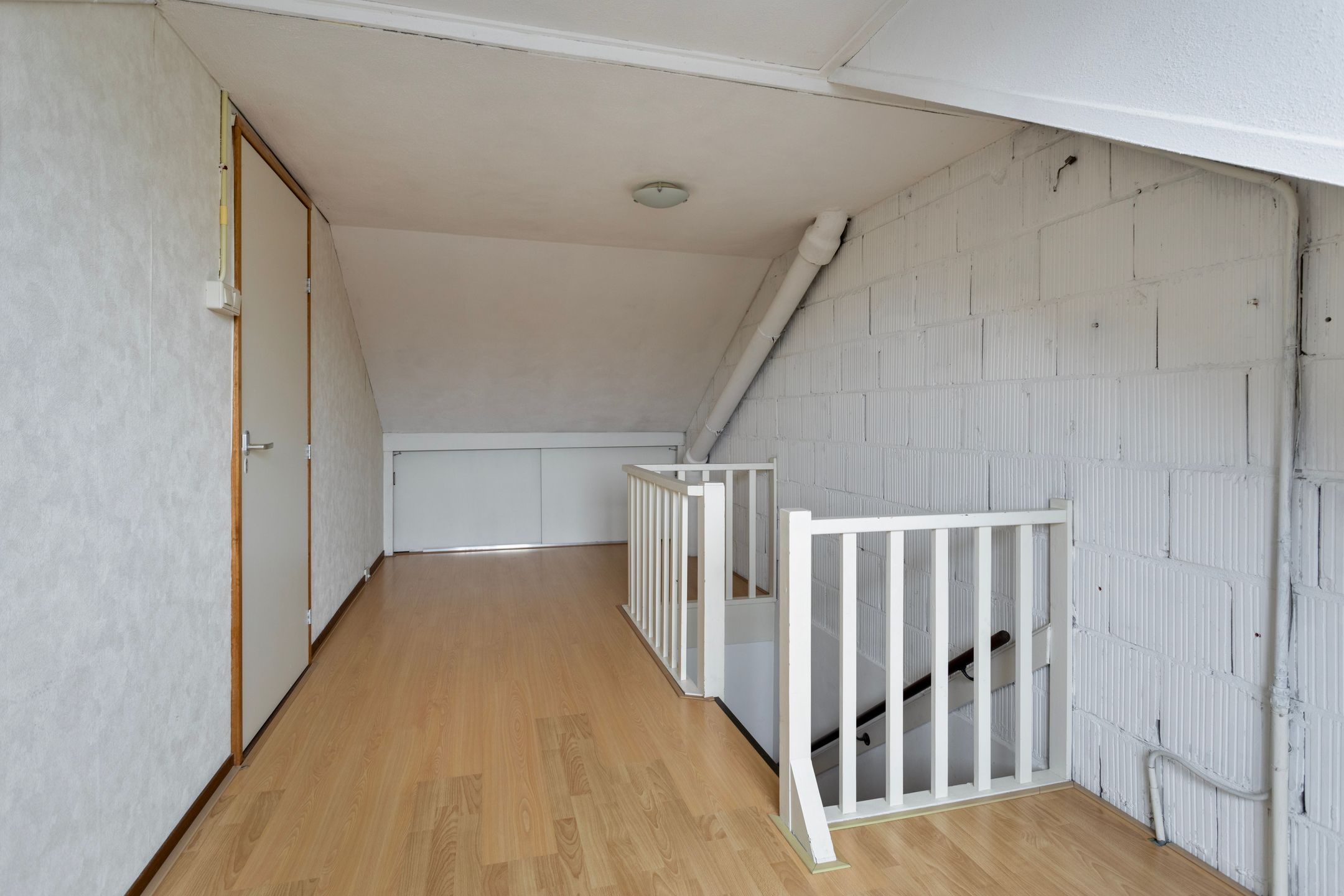 Foto 33 van Balsemkruid 97