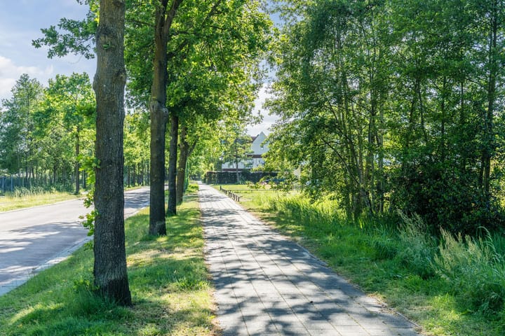 Foto 26 van Orkaden 64