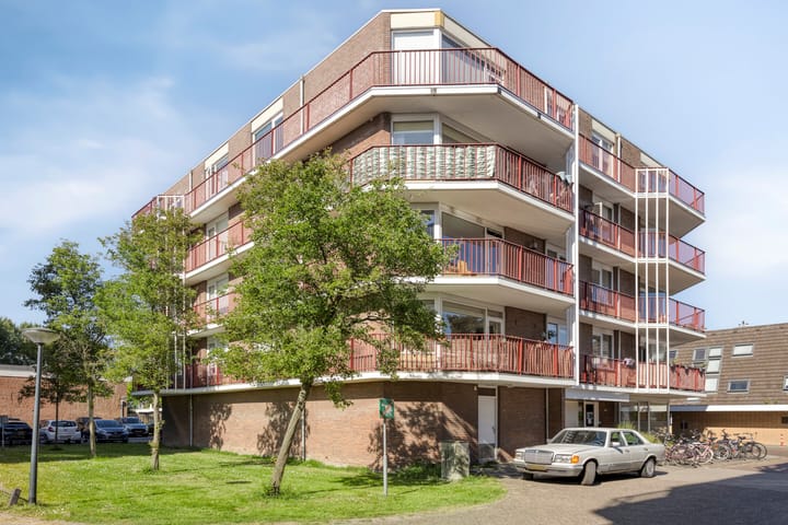 Foto 2 van Pluimgras 26