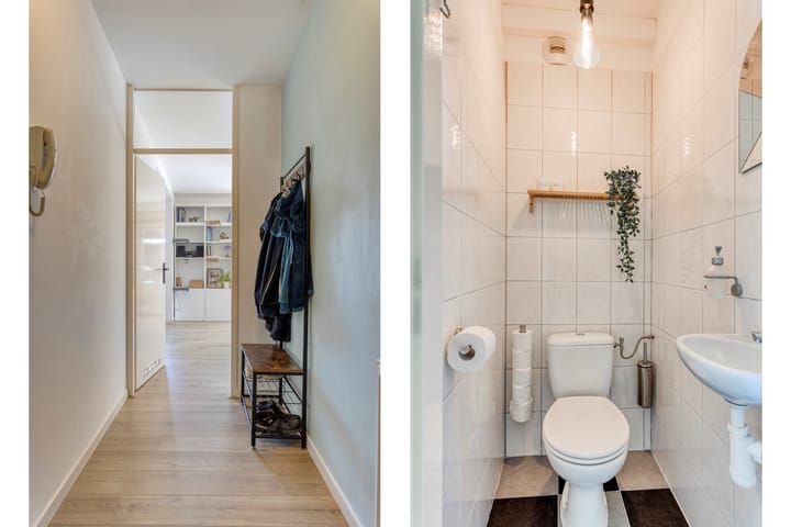 Foto 3 van Pluimgras 26