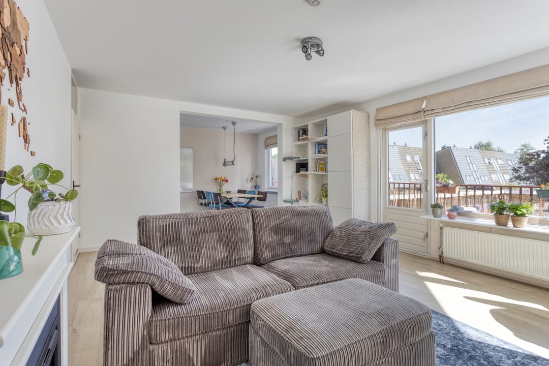 Foto 7 van Pluimgras 26