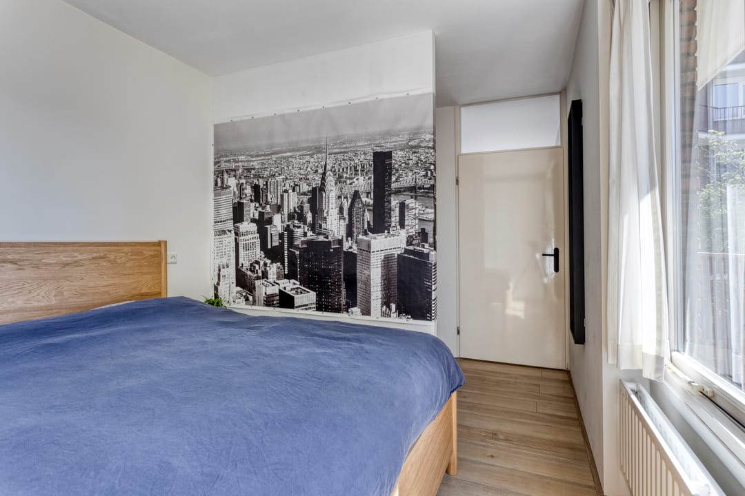 Foto 16 van Pluimgras 26