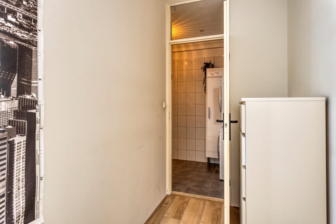 Foto 17 van Pluimgras 26