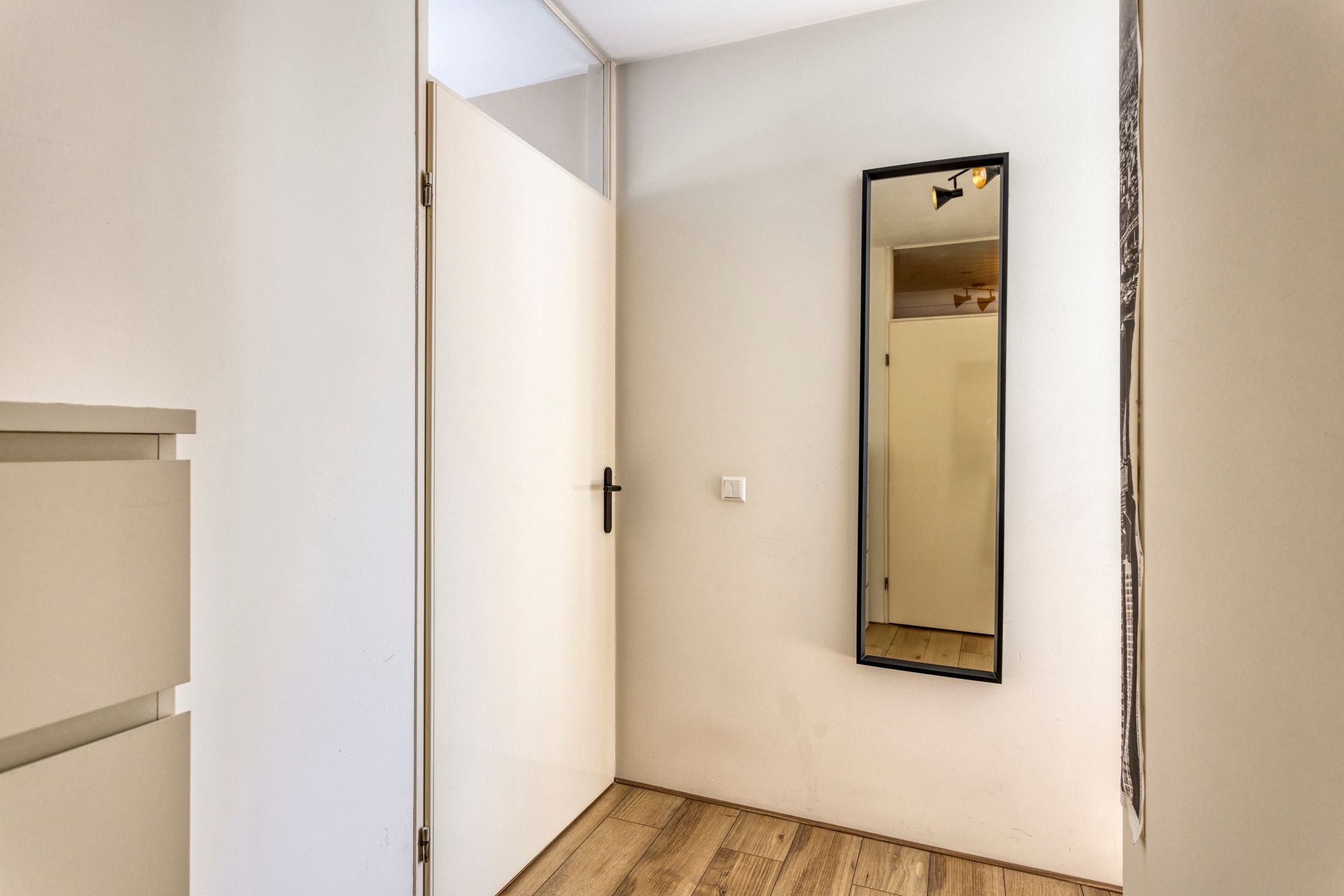 Foto 18 van Pluimgras 26