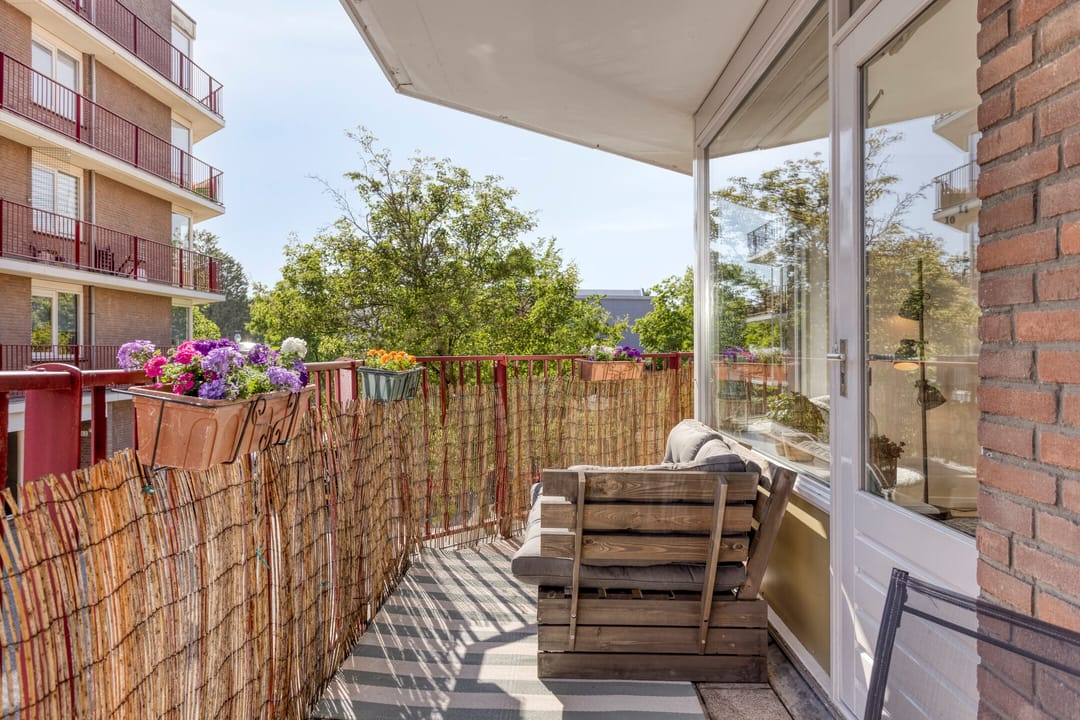 Foto 22 van Pluimgras 26