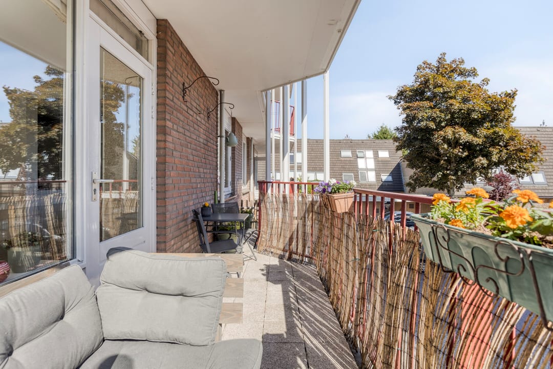 Foto 23 van Pluimgras 26