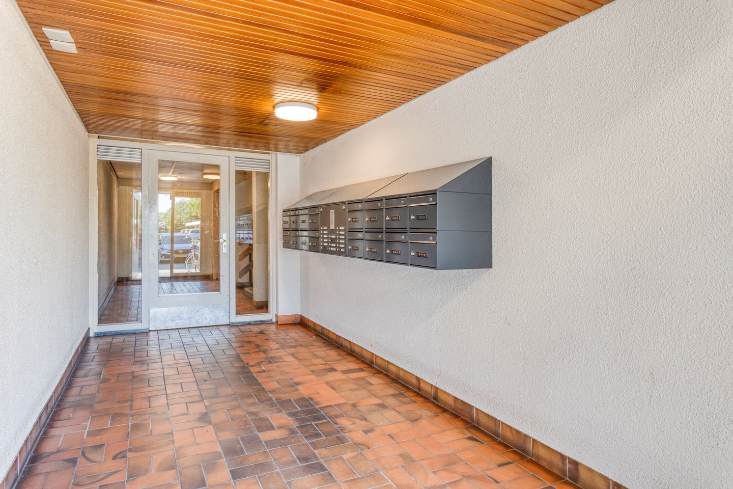 Foto 25 van Pluimgras 26