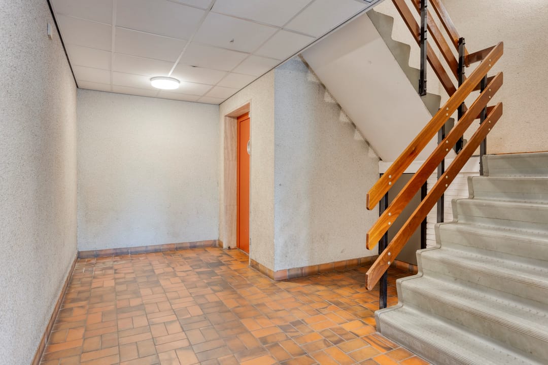 Foto 26 van Pluimgras 26