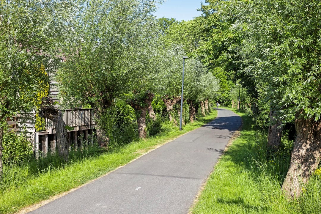 Foto 28 van Pluimgras 26