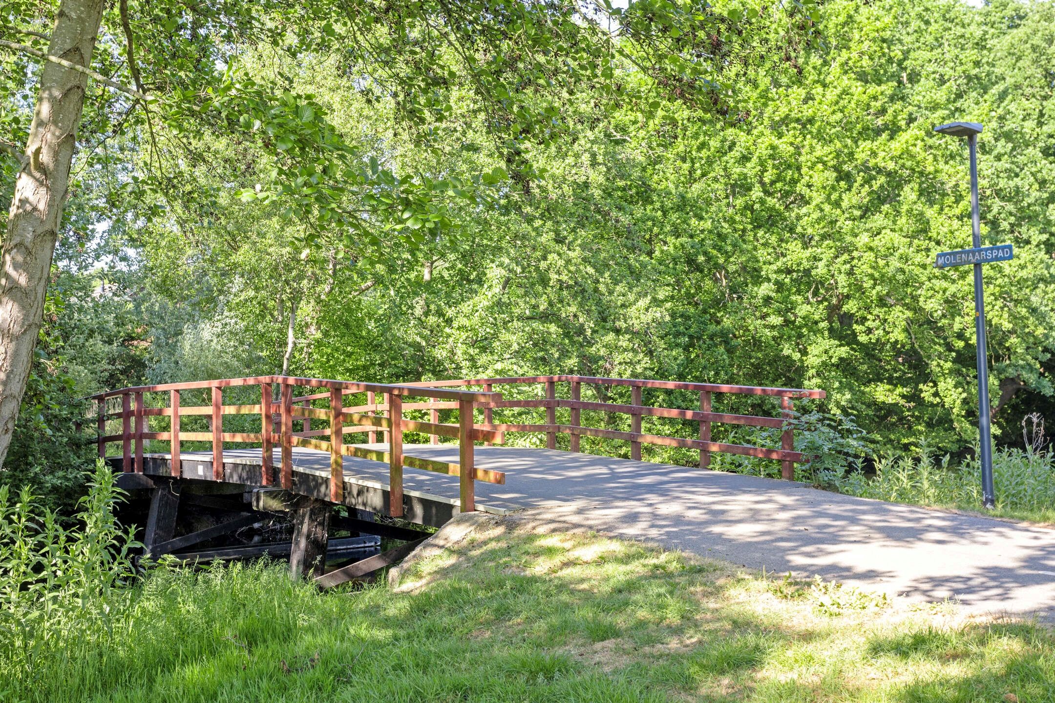 Foto 30 van Pluimgras 26