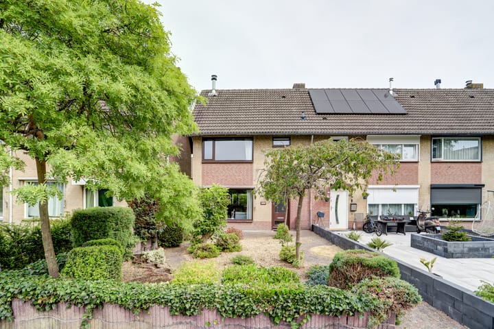 Foto 34 van Peter Benoitpark 16