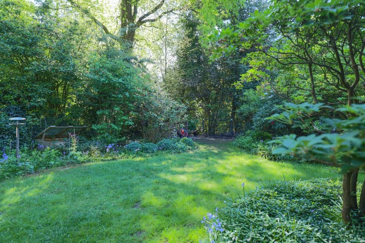 Foto 39 van Plattenberg 40