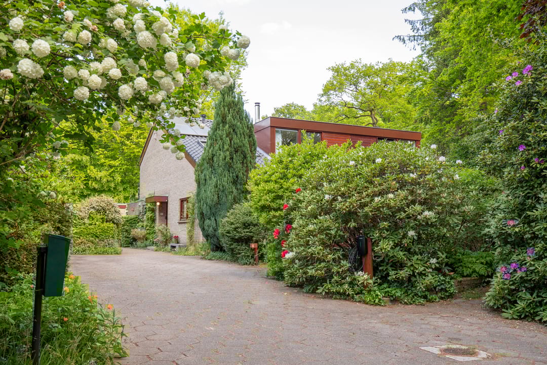 Foto 47 van Plattenberg 40