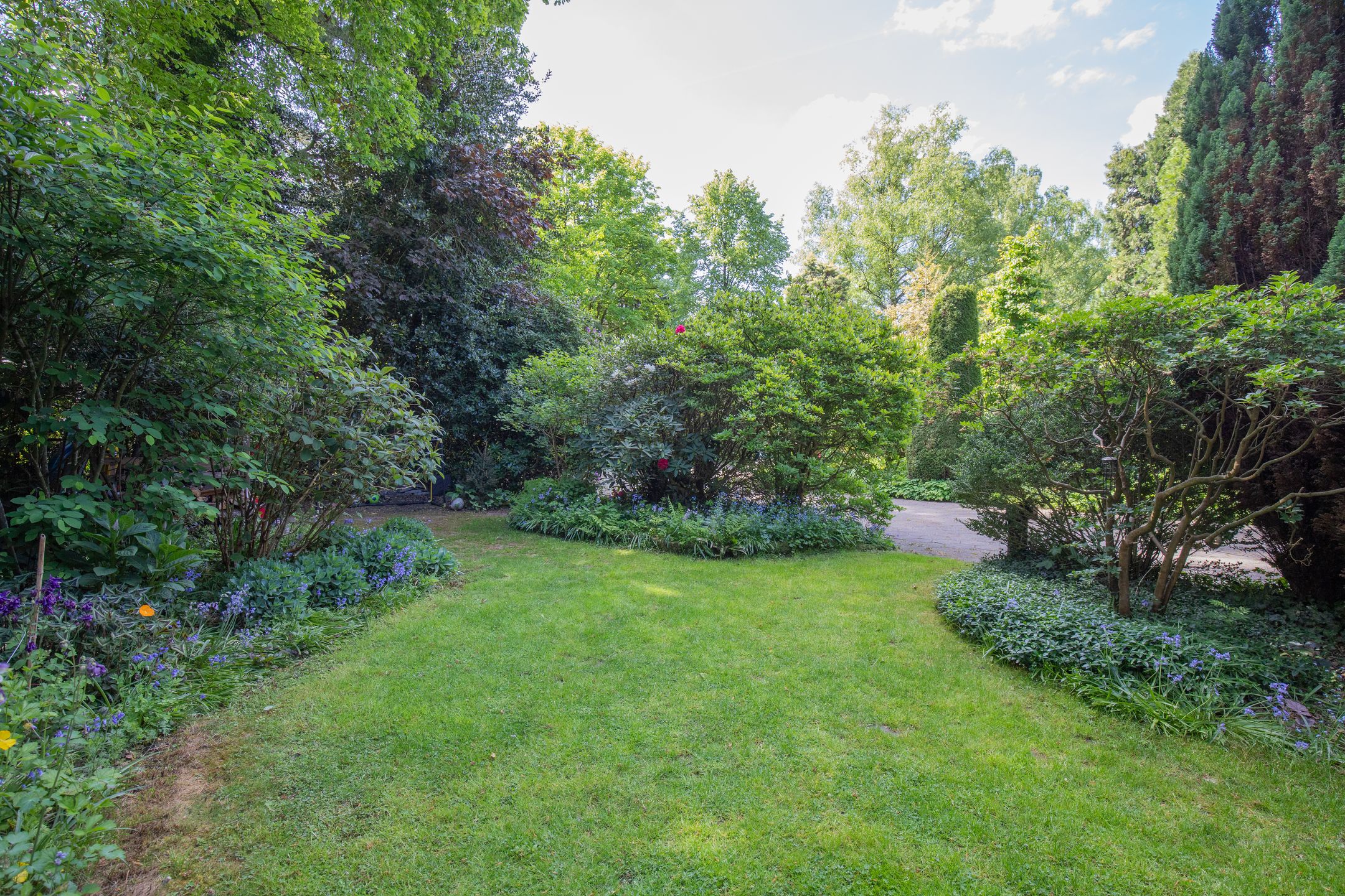 Foto 48 van Plattenberg 40