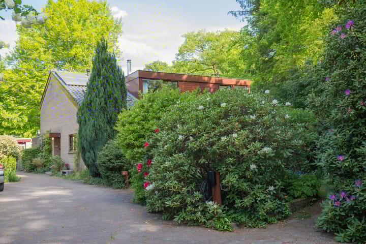 Foto 50 van Plattenberg 40