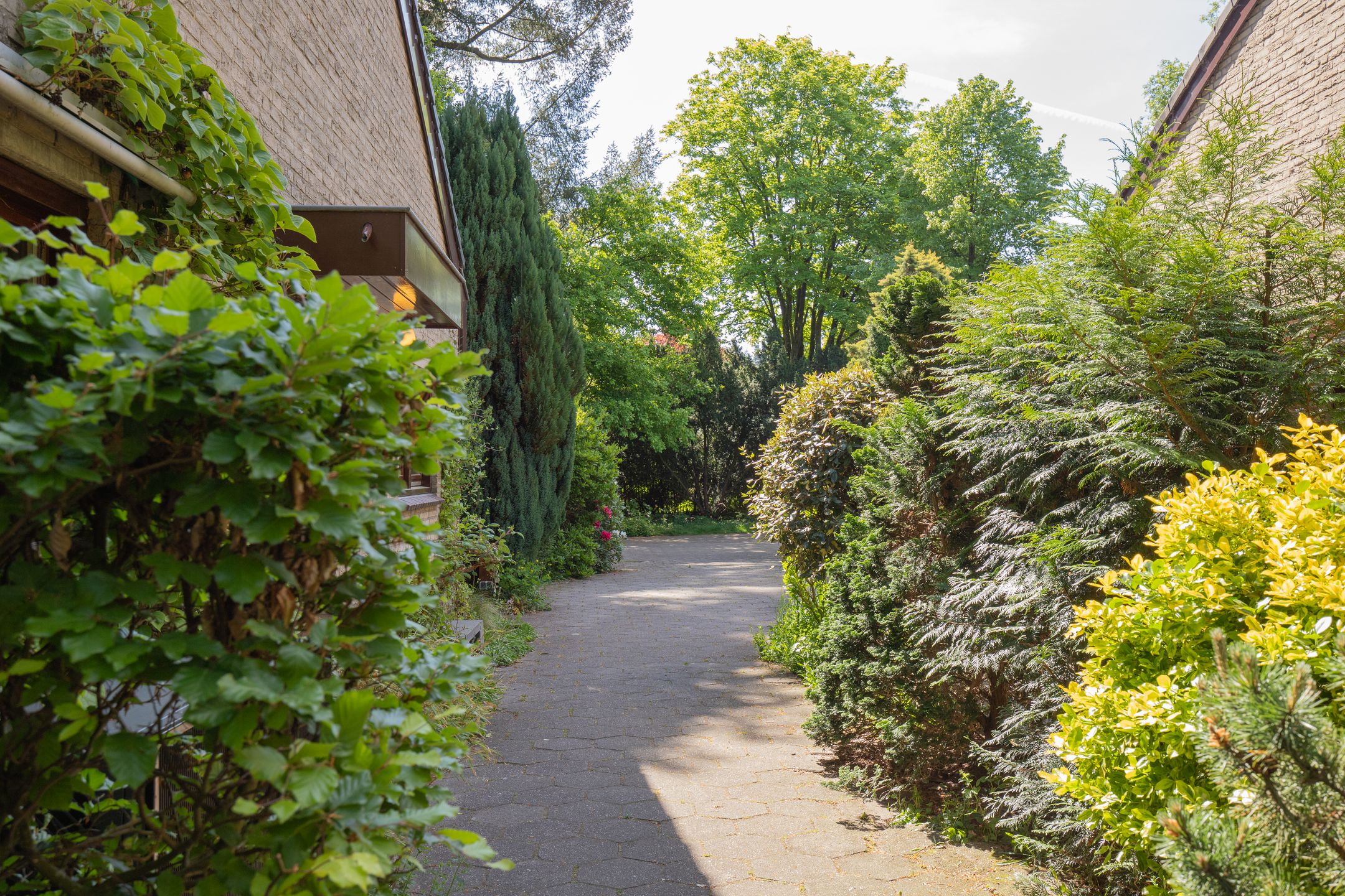 Foto 51 van Plattenberg 40