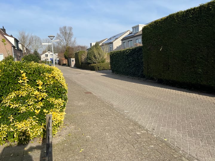 Foto 32 van Reaal 80