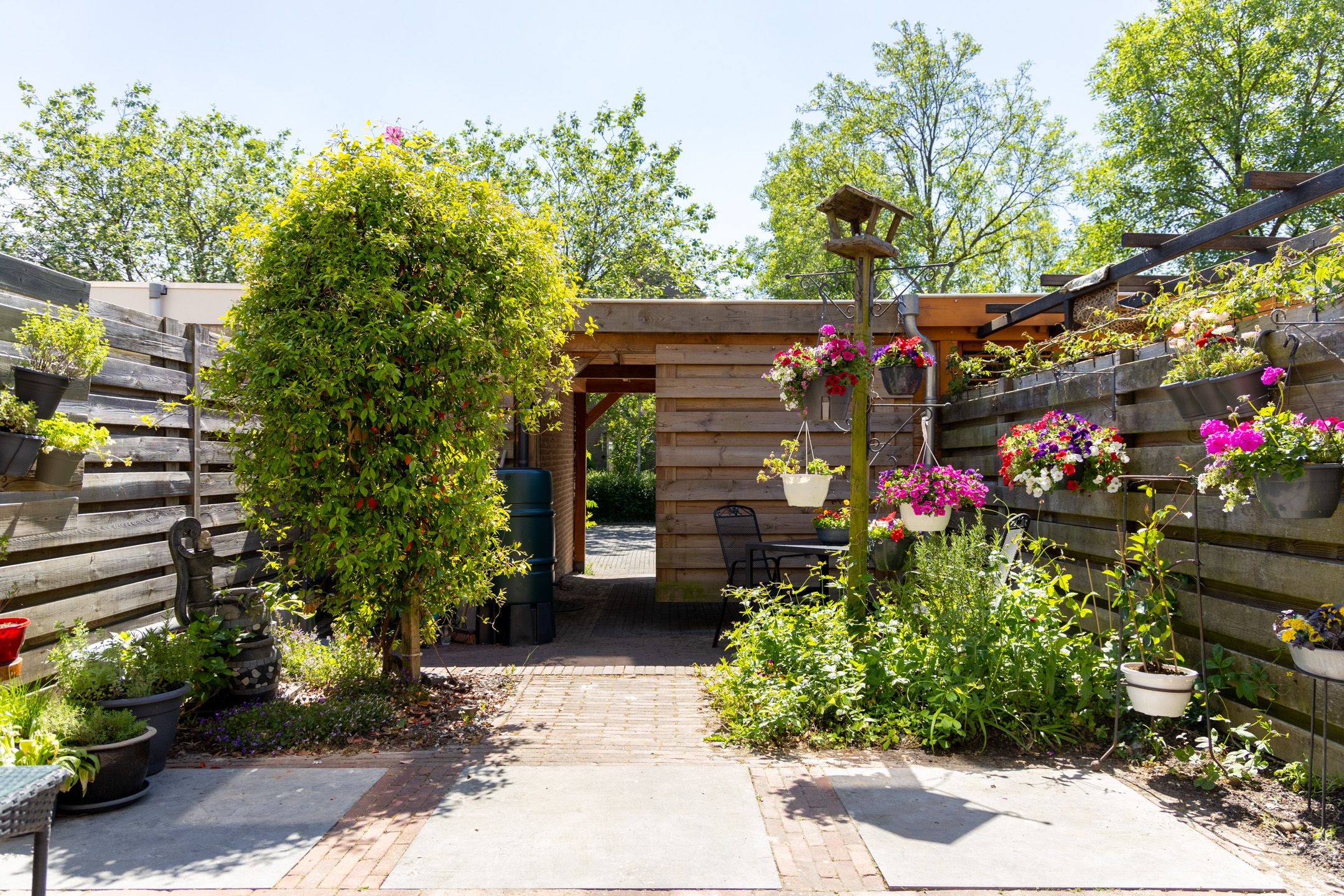 Foto 6 van Paardenweide 83