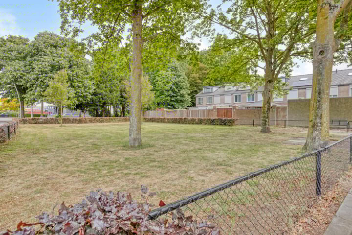 Foto 35 van Kievit 1