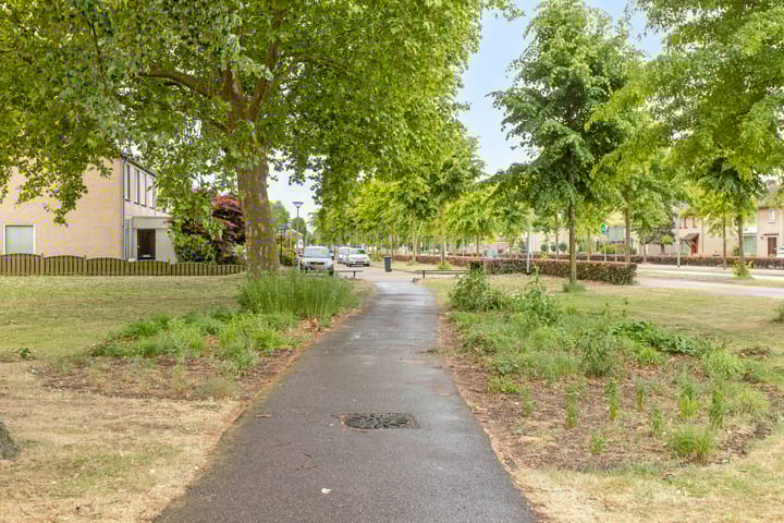 Foto 36 van Kievit 1