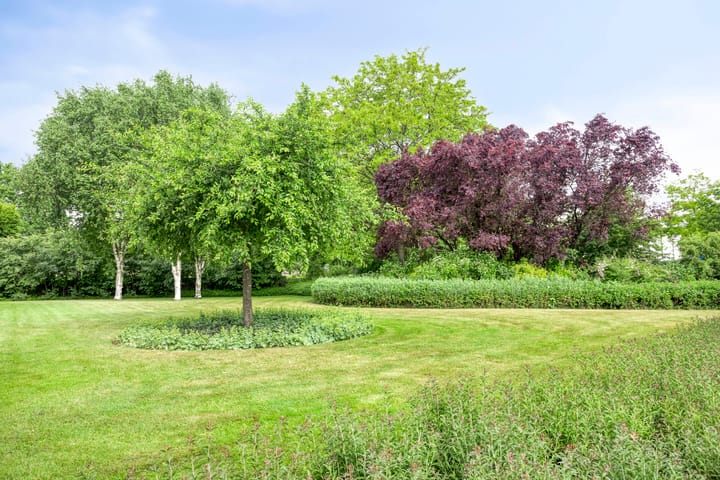 Foto 23 van Brinklaan 8