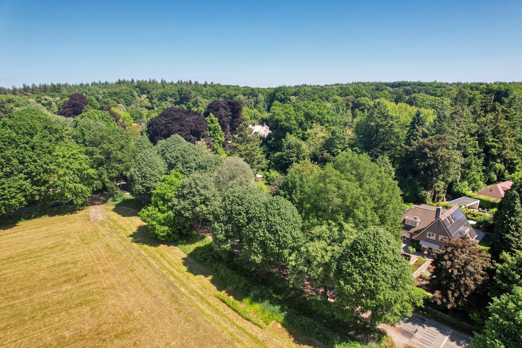 Foto 54 van Dreyenseweg 1