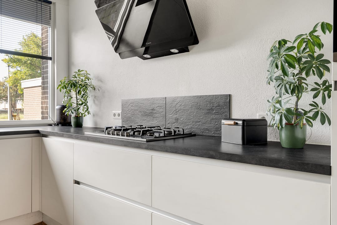 Foto 17 van Borggrevelanden 38